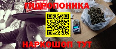 гидропоника Новодвинск