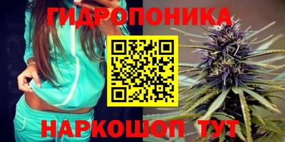 гидропоника Новозыбков