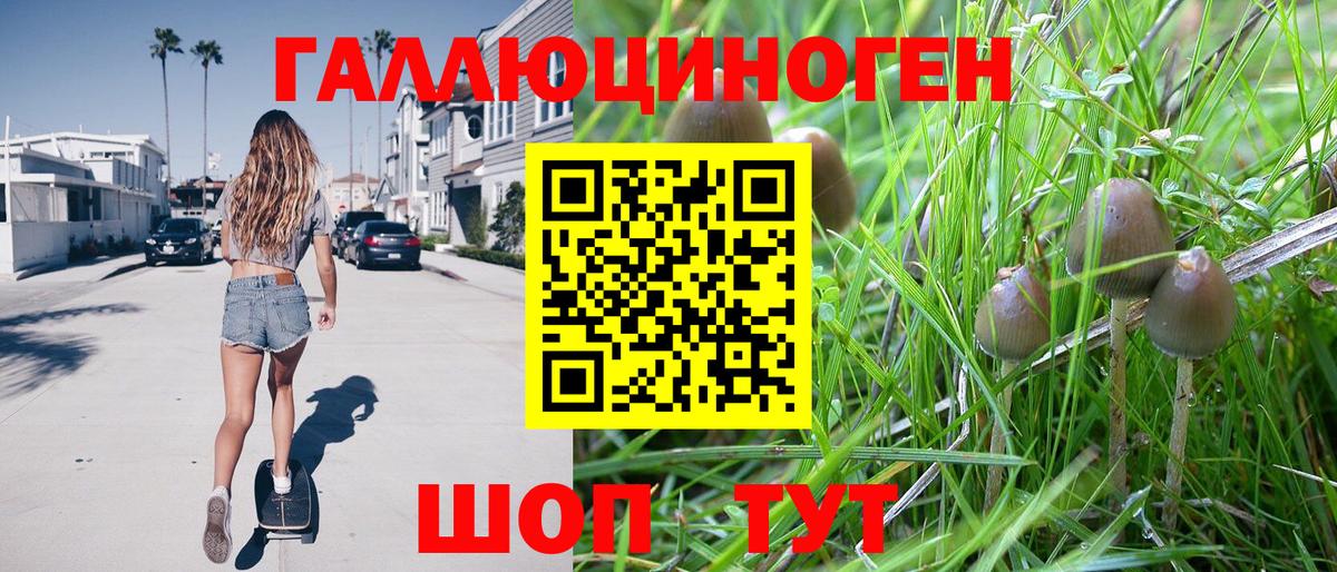Галлюциногенные грибы Psilocybine cubensis Сухой Лог